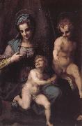 Andrea del Sarto Virgin Mary and Jeusu and John Spain oil painting artist